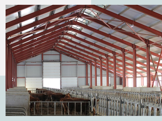 Строительство коровников в Новошахтинске