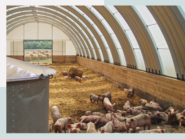 Строительство свинарников в Новошахтинске