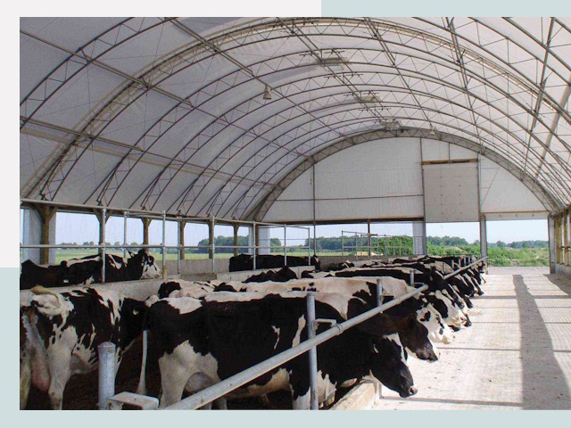 Тентовые коровники в Новошахтинске